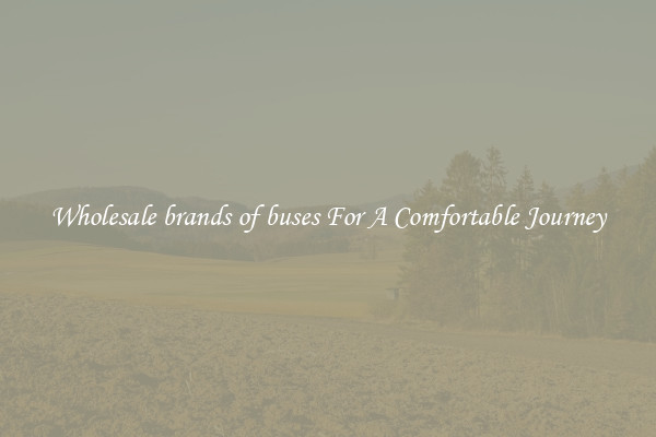 Wholesale brands of buses For A Comfortable Journey