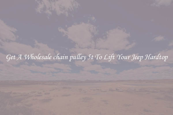 Get A Wholesale chain pulley 5t To Lift Your Jeep Hardtop