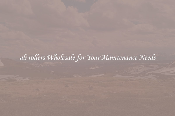 ali rollers Wholesale for Your Maintenance Needs
