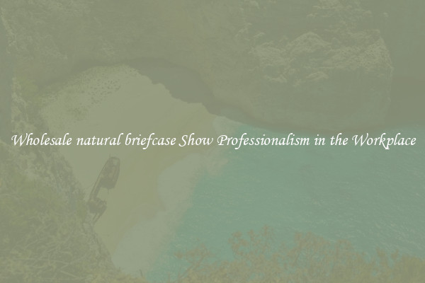 Wholesale natural briefcase Show Professionalism in the Workplace