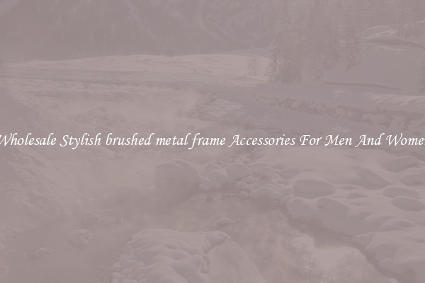 Wholesale Stylish brushed metal frame Accessories For Men And Women