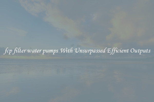 fcp filter water pumps With Unsurpassed Efficient Outputs