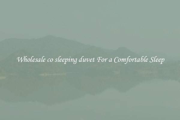 Wholesale co sleeping duvet For a Comfortable Sleep