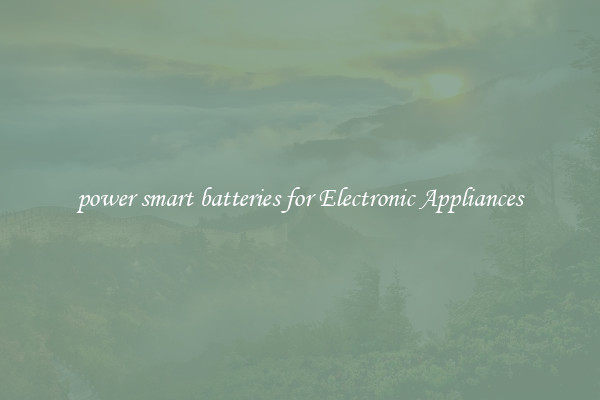 power smart batteries for Electronic Appliances