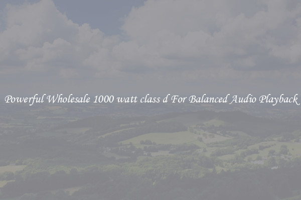 Powerful Wholesale 1000 watt class d For Balanced Audio Playback