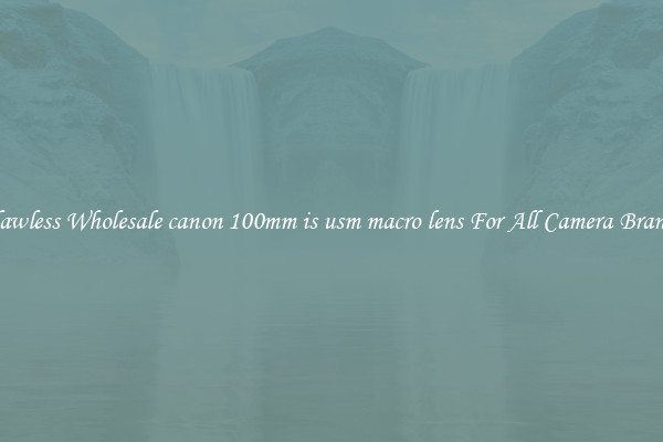 Flawless Wholesale canon 100mm is usm macro lens For All Camera Brands