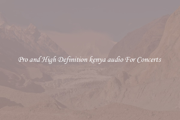 Pro and High Definition kenya audio For Concerts 