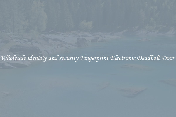 Wholesale identity and security Fingerprint Electronic Deadbolt Door 