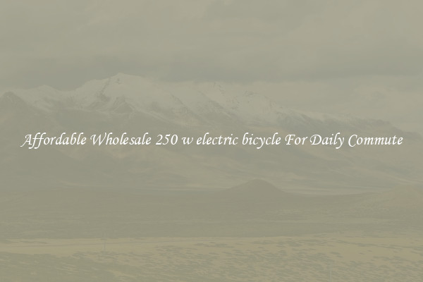 Affordable Wholesale 250 w electric bicycle For Daily Commute