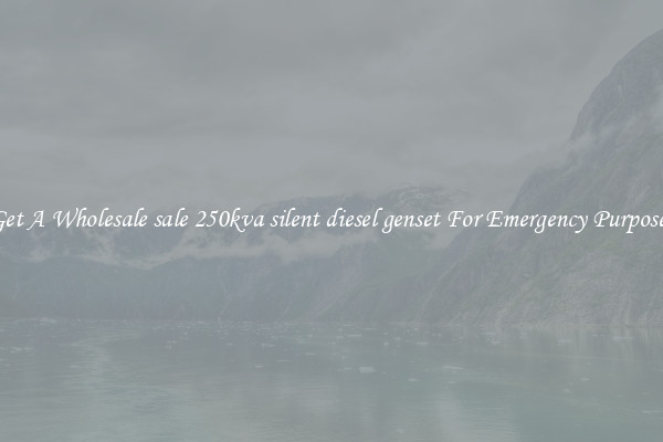 Get A Wholesale sale 250kva silent diesel genset For Emergency Purposes