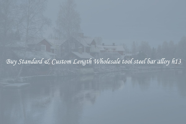 Buy Standard & Custom Length Wholesale tool steel bar alloy h13