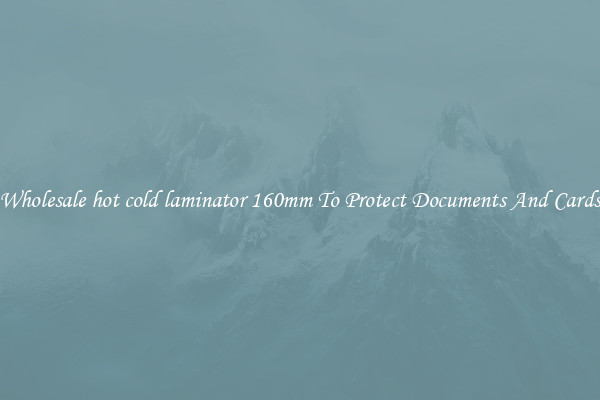 Wholesale hot cold laminator 160mm To Protect Documents And Cards