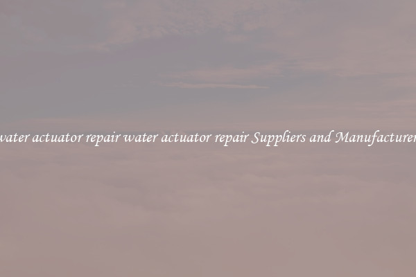 water actuator repair water actuator repair Suppliers and Manufacturers