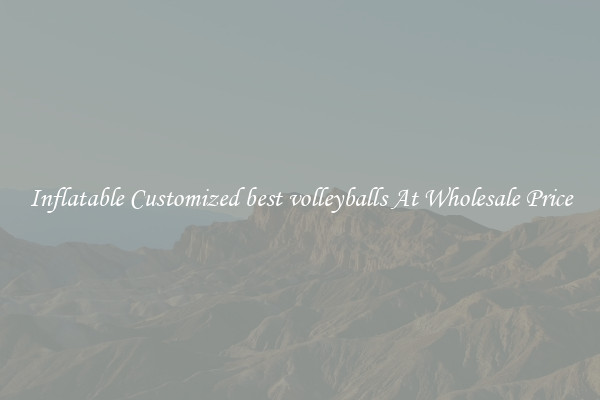 Inflatable Customized best volleyballs At Wholesale Price
