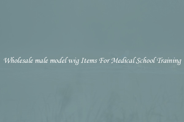 Wholesale male model wig Items For Medical School Training