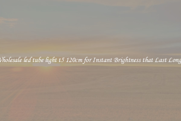 Wholesale led tube light t5 120cm for Instant Brightness that Last Longer