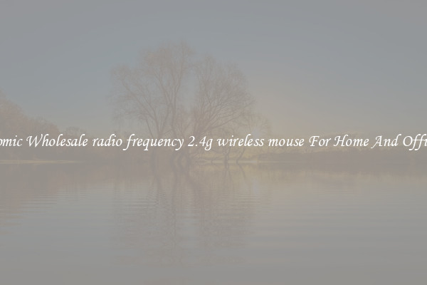 Ergonomic Wholesale radio frequency 2.4g wireless mouse For Home And Office Use.