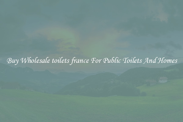 Buy Wholesale toilets france For Public Toilets And Homes
