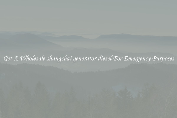 Get A Wholesale shangchai generator diesel For Emergency Purposes