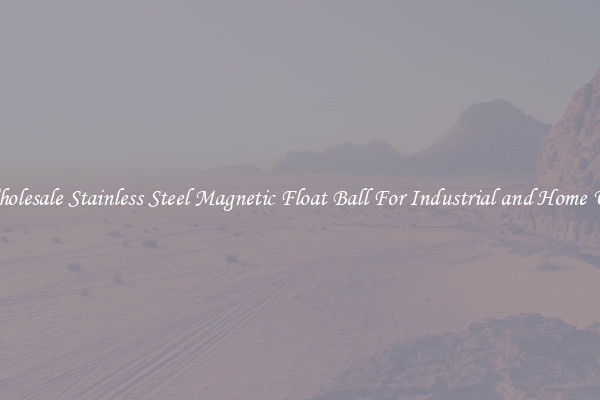 Wholesale Stainless Steel Magnetic Float Ball For Industrial and Home Use