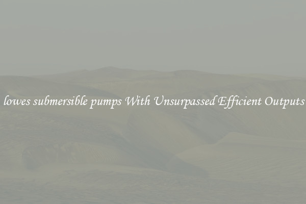 lowes submersible pumps With Unsurpassed Efficient Outputs