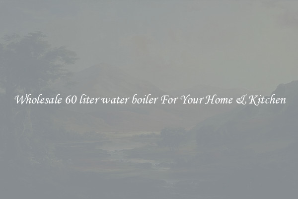 Wholesale 60 liter water boiler For Your Home & Kitchen